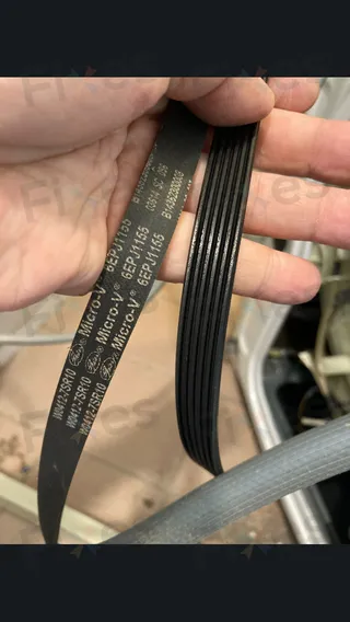 6EPJ1155型皮帶 W012029